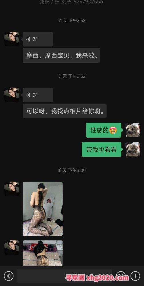 爆操合肥英子