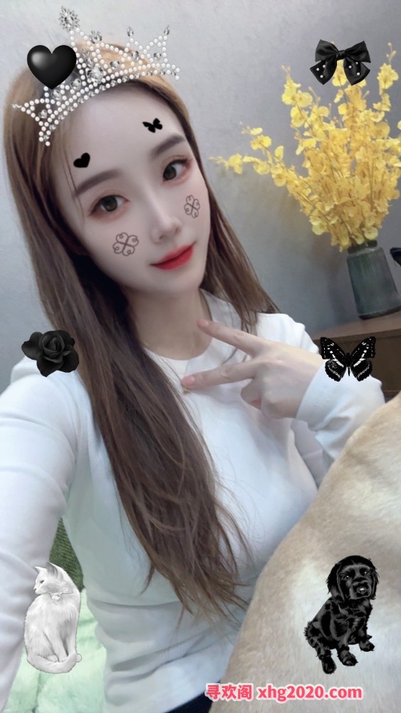 桥北小美回归
