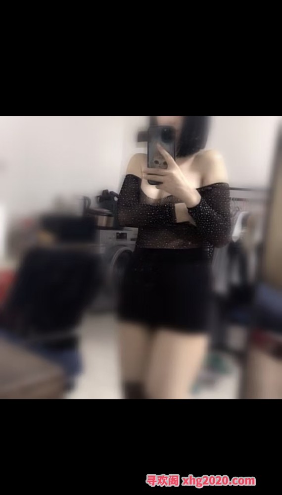 东特萌主验证