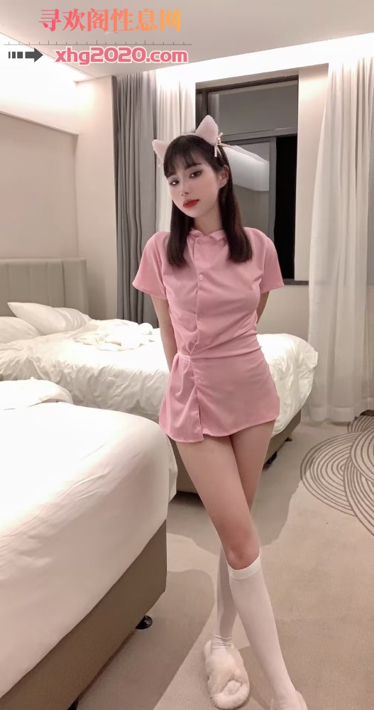 深圳宝安小猫