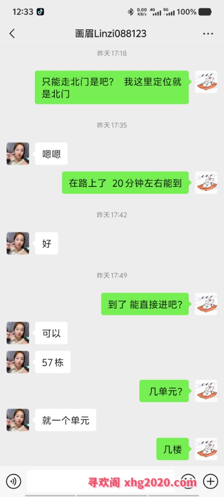 娇小可爱画眉