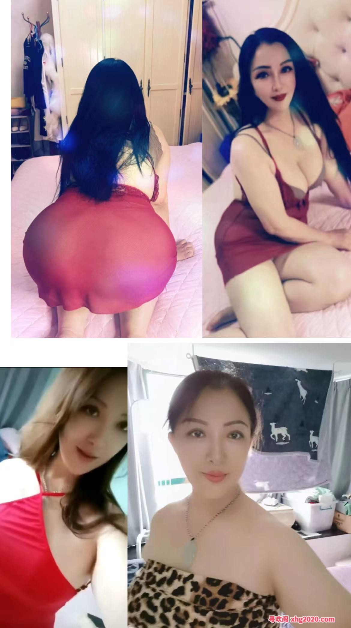 黄埔混血大屁股