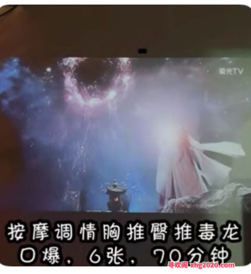 宁波白茶