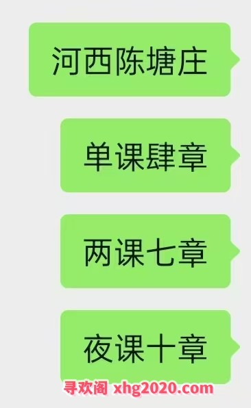 河西陈塘庄骚逼一枚