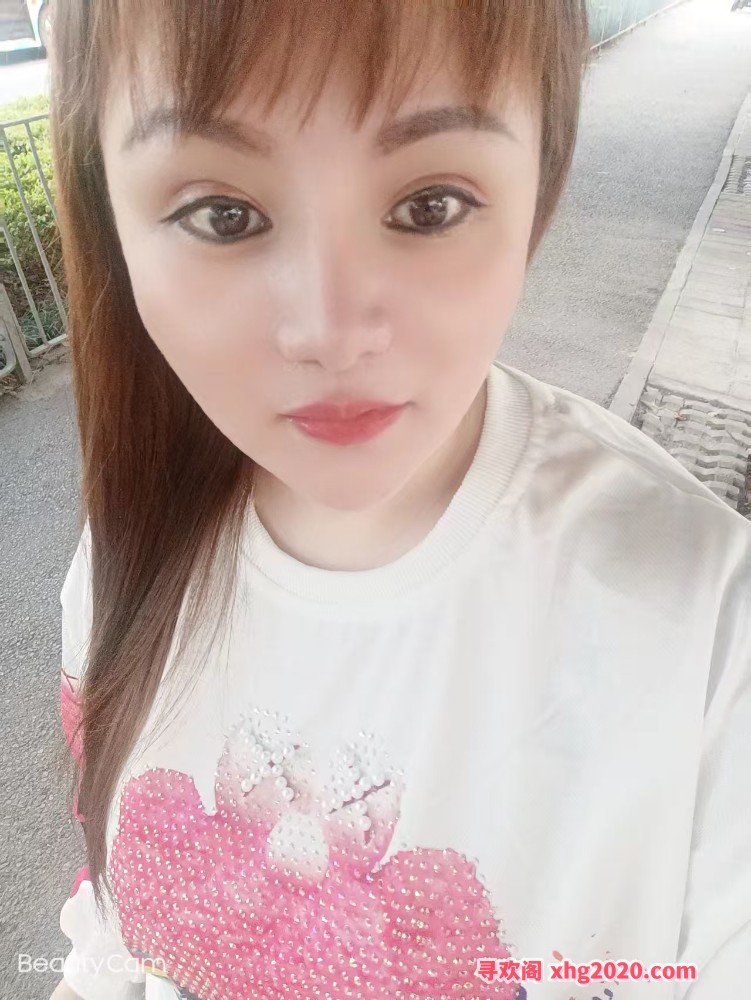 龙岗杨美小野猫