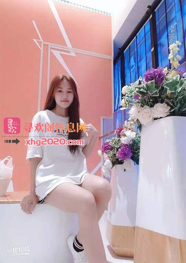 广州白云安琪