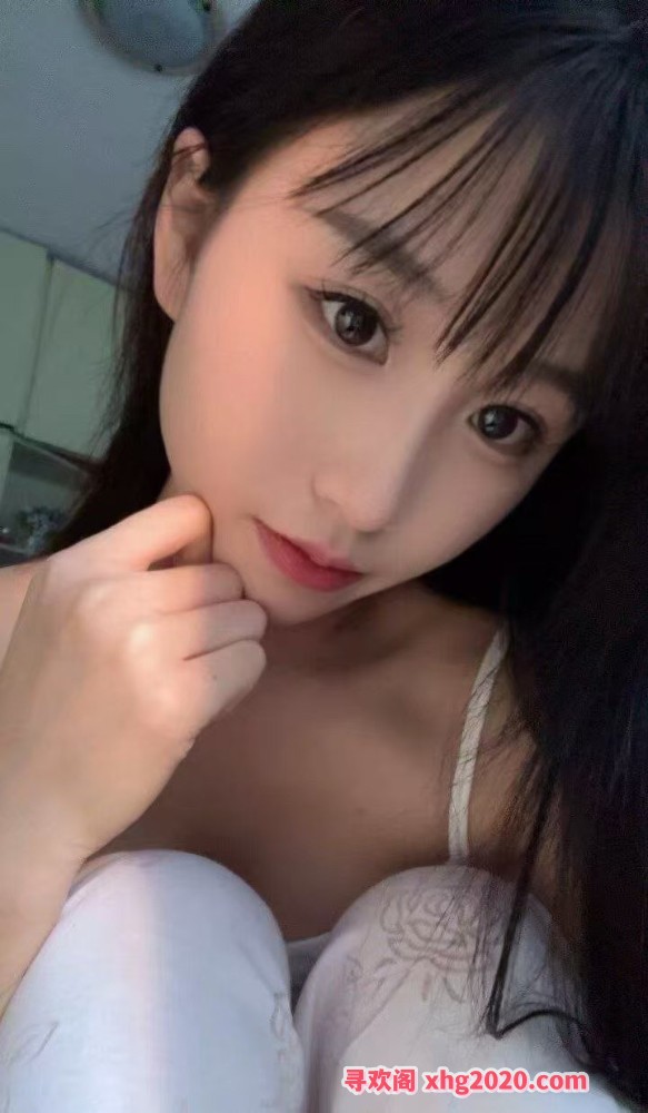 服务系小呆