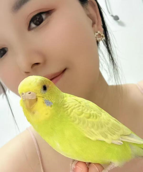 半套浅浅