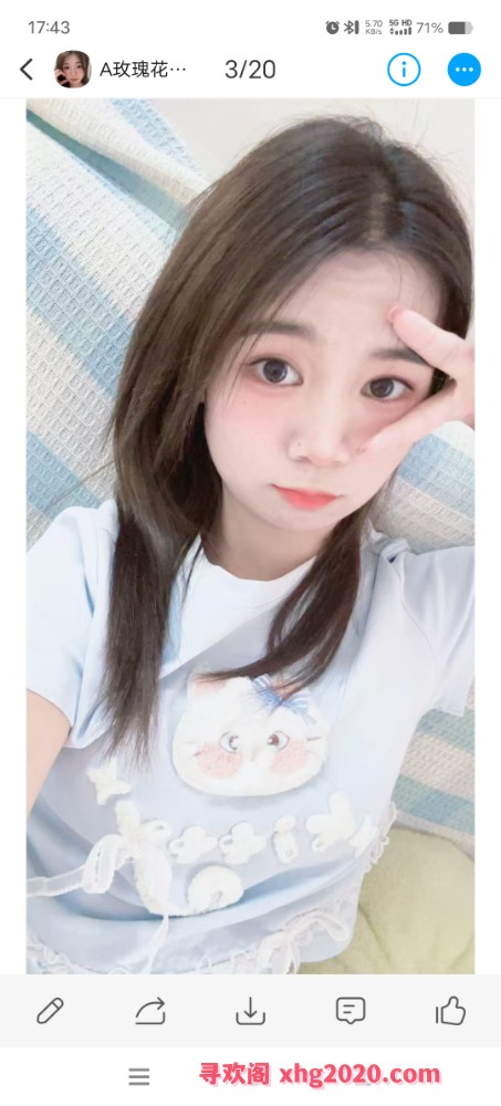 长安玫瑰花