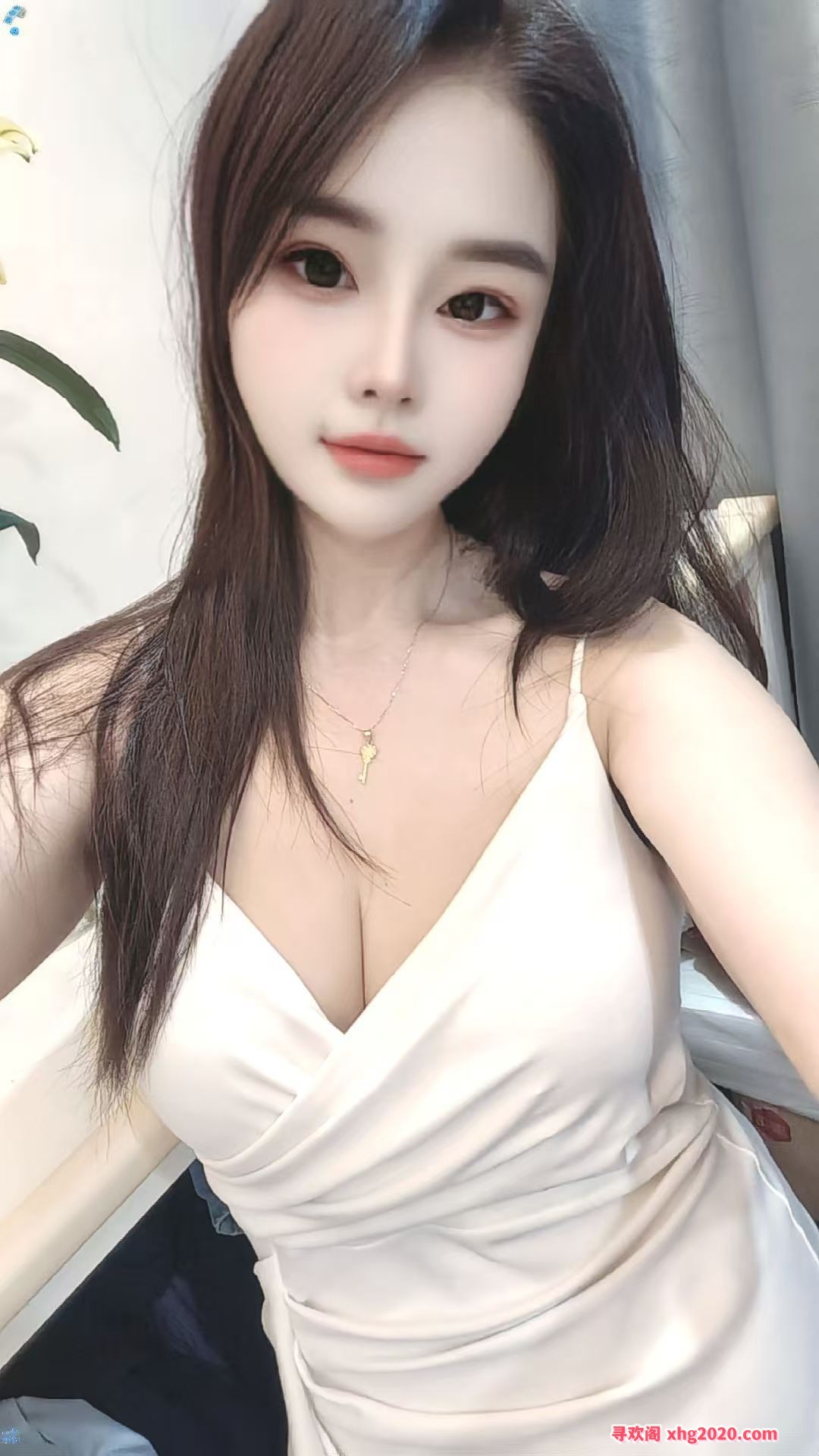 白云大白胸金莲