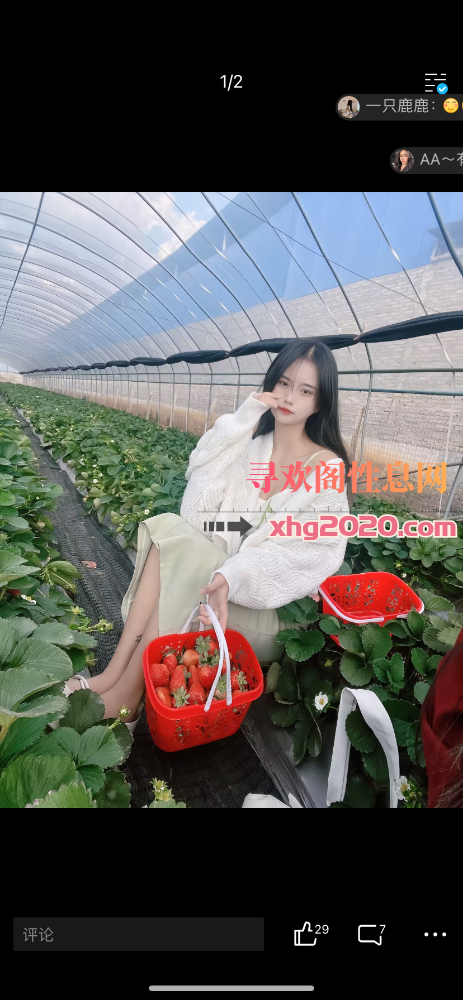 上海乐乐