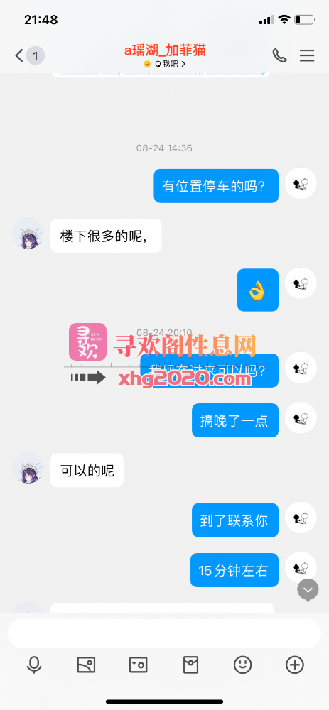 南昌加菲猫
