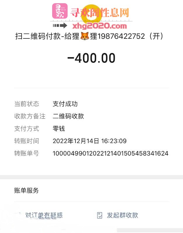 广州天河狸猫