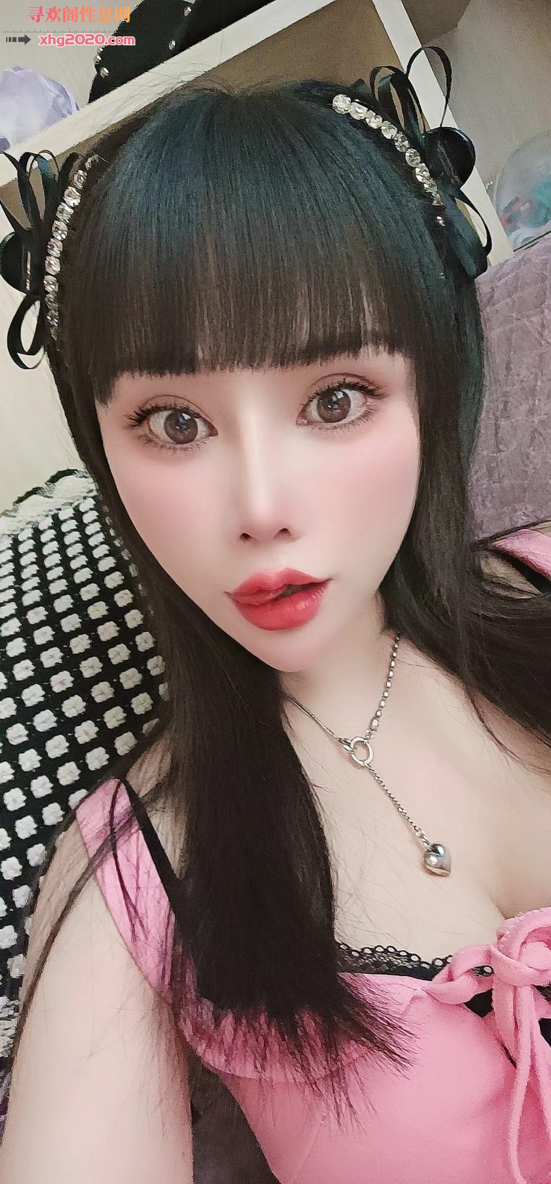 兰州小绵羊