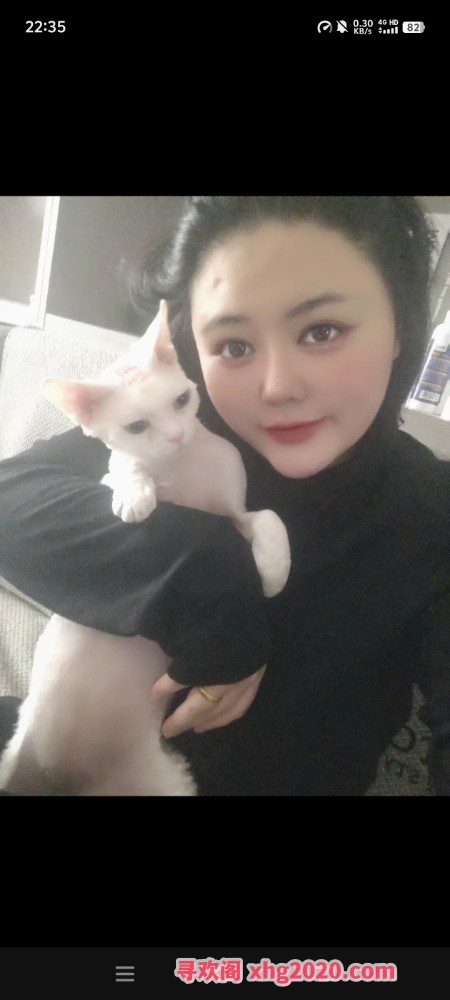 呼市软猫  一个性感小骚货