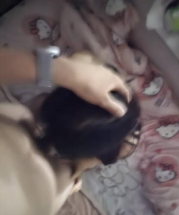 熟妇肛交