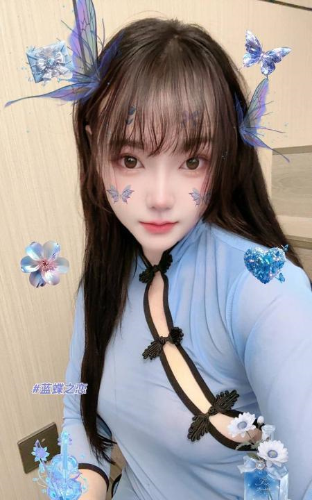 普陀小野猫