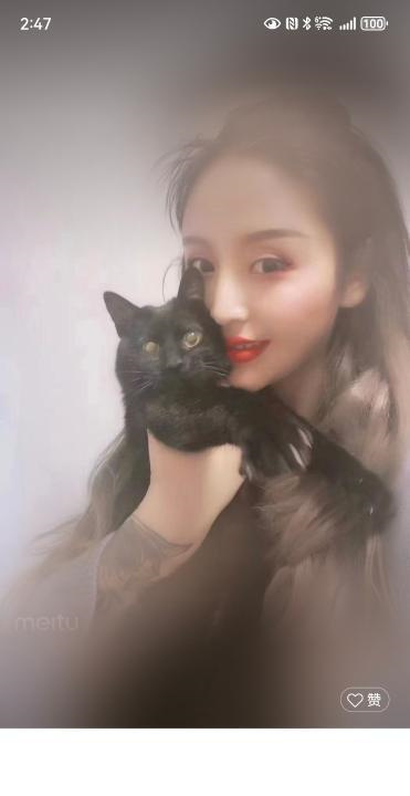 渝中长腿麦子